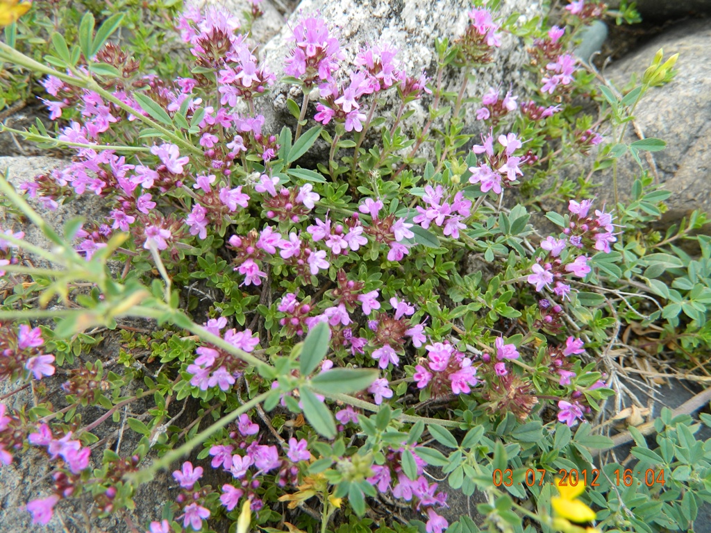 DSCN1149.JPG
