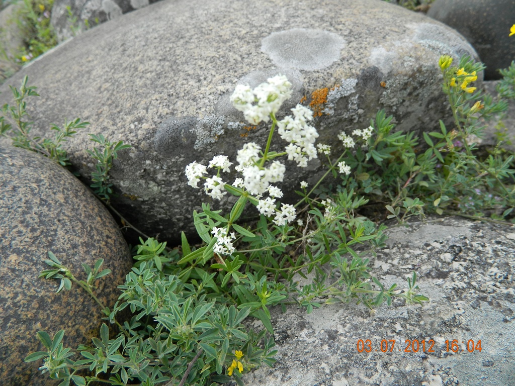 DSCN1150.JPG