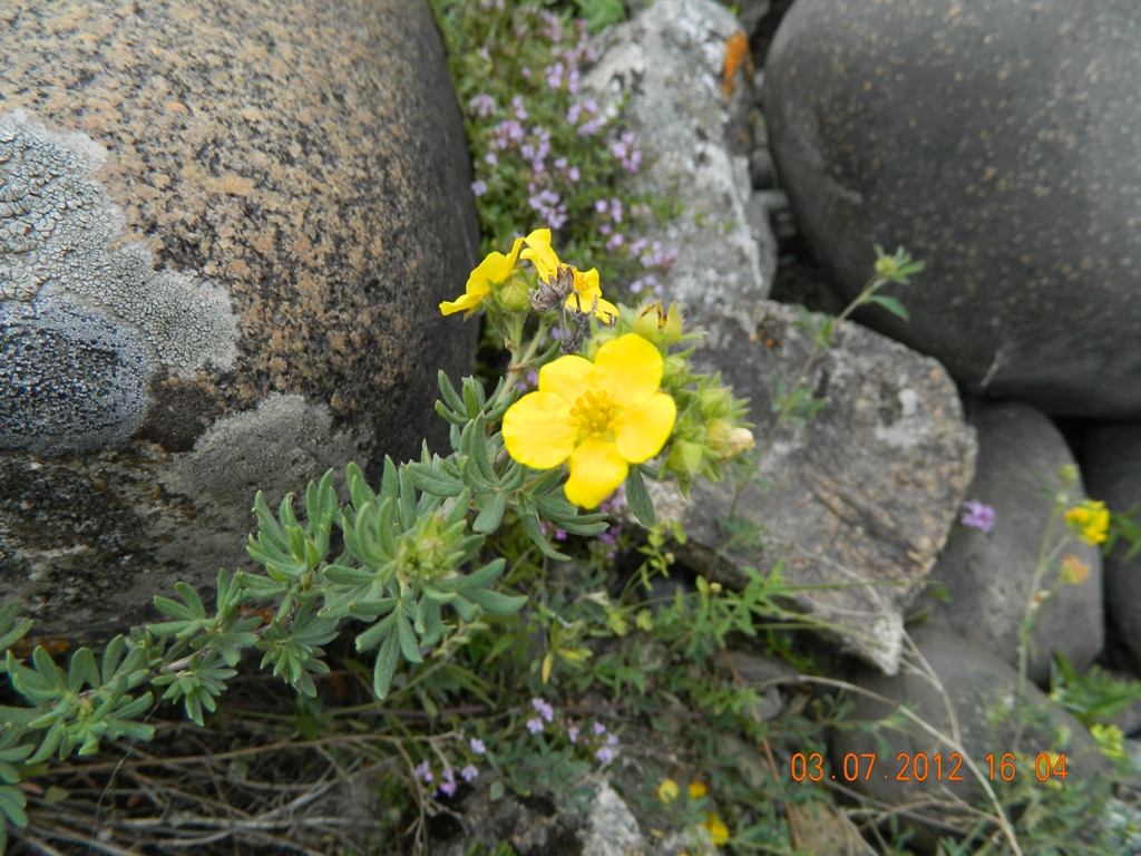 DSCN1151.JPG
