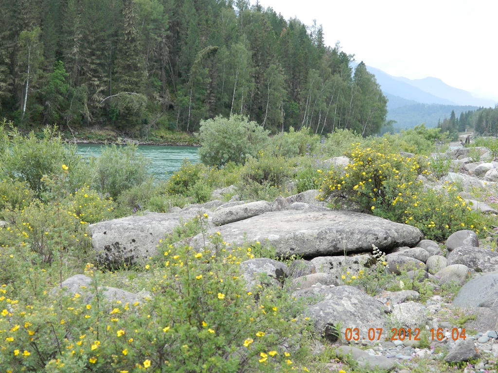 DSCN1153.JPG